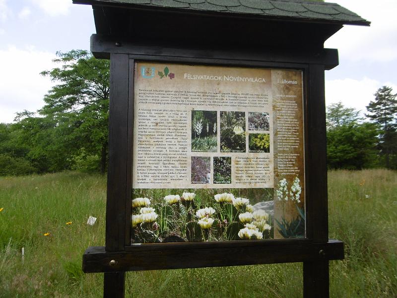 P3350310.JPG