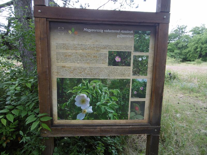 P3350311.JPG