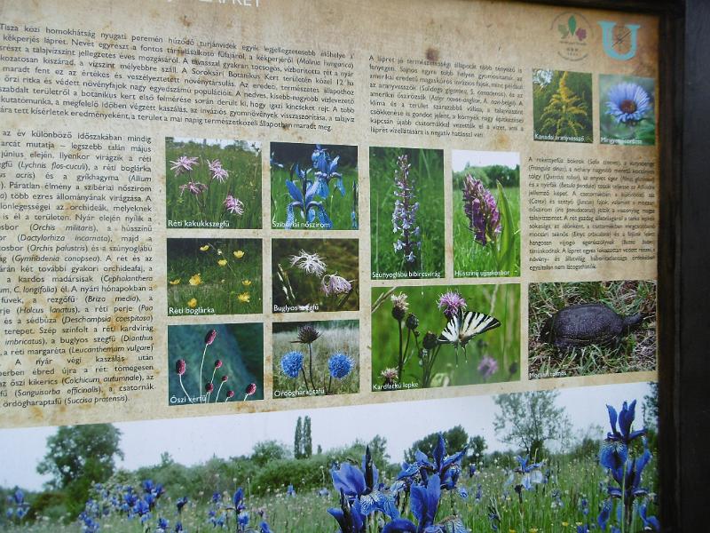 P3350315.JPG