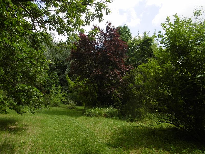 P3350327.JPG