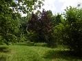 P3350327