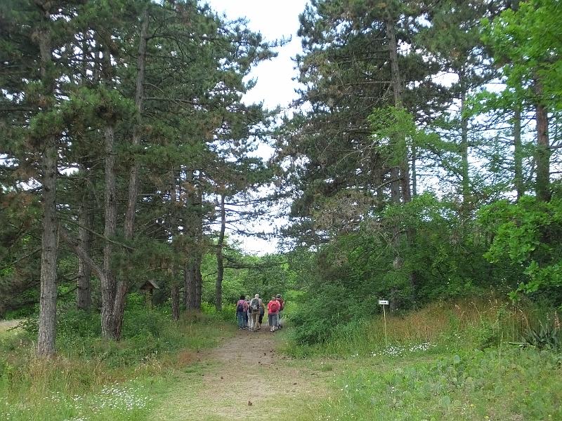 DSCF3256.JPG