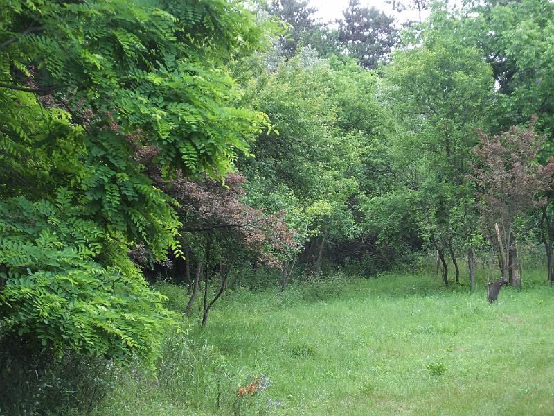DSCF3259.JPG