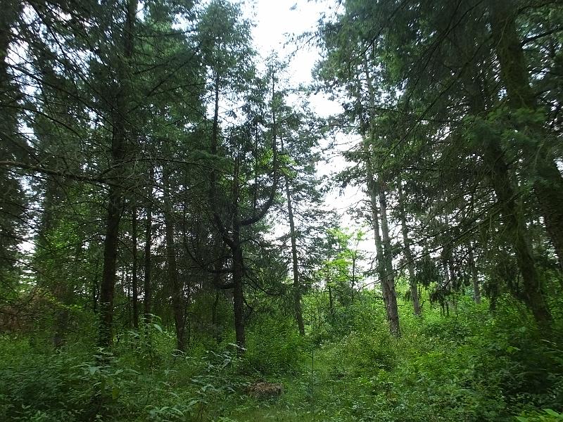 DSCF3267.JPG