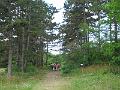 DSCF3256