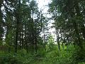 DSCF3267