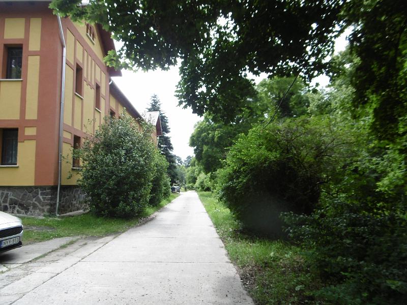 P3350335.JPG