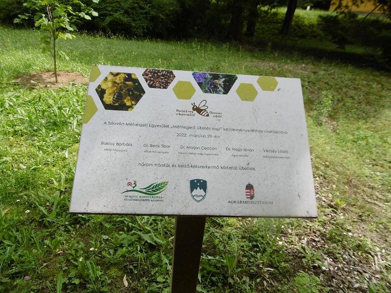 P3350336.JPG