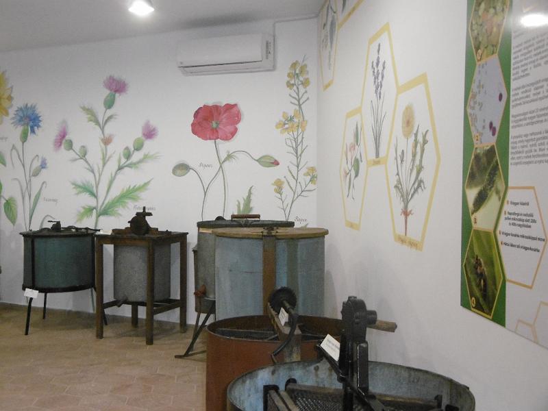 P3350341.JPG