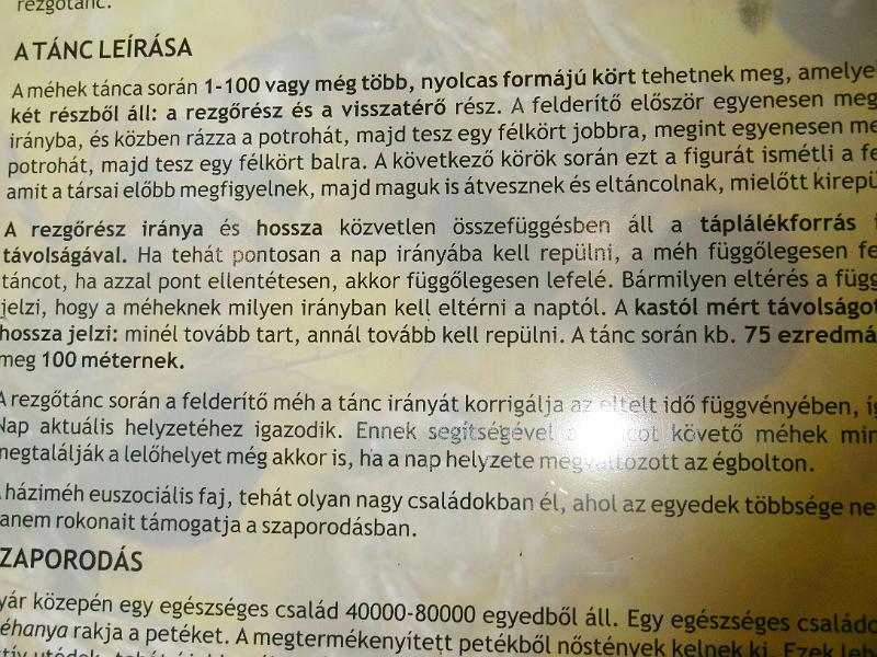 P3350358.JPG