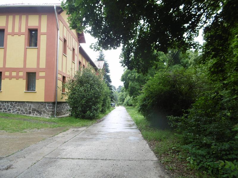 P3350365.JPG