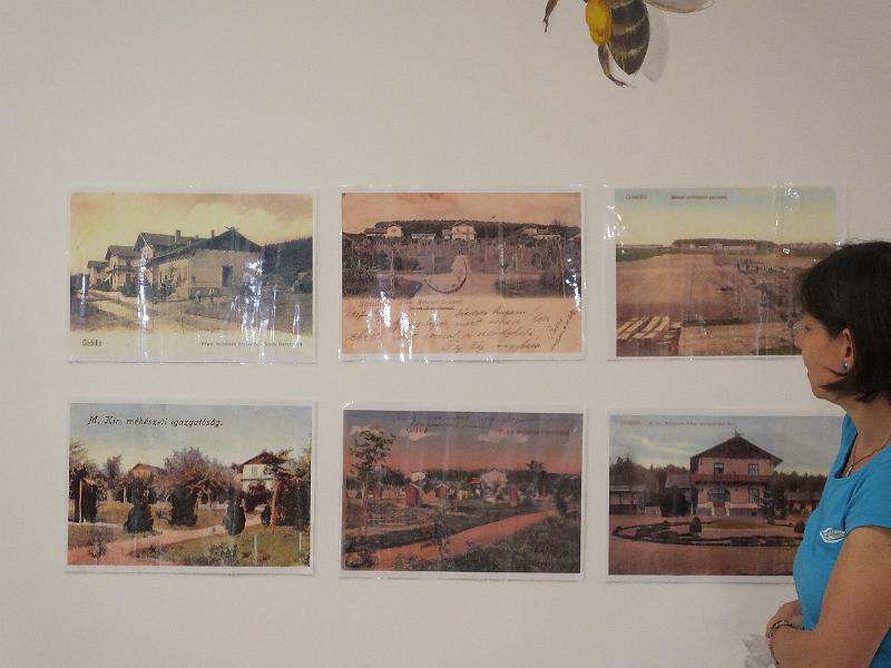 DSCF3274.JPG