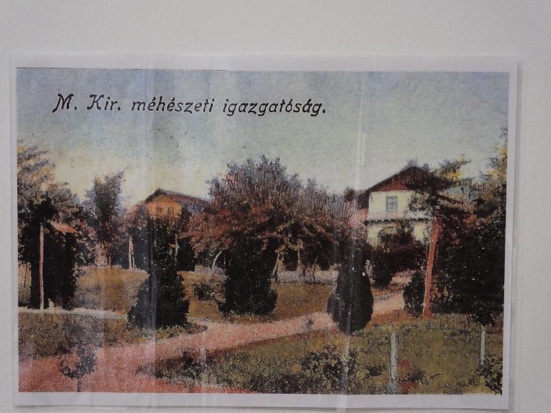 DSCF3276.JPG