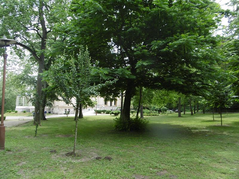 P3350387.JPG