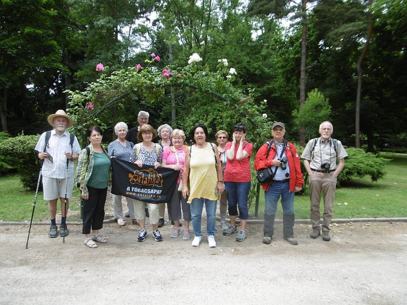 P3350390.JPG