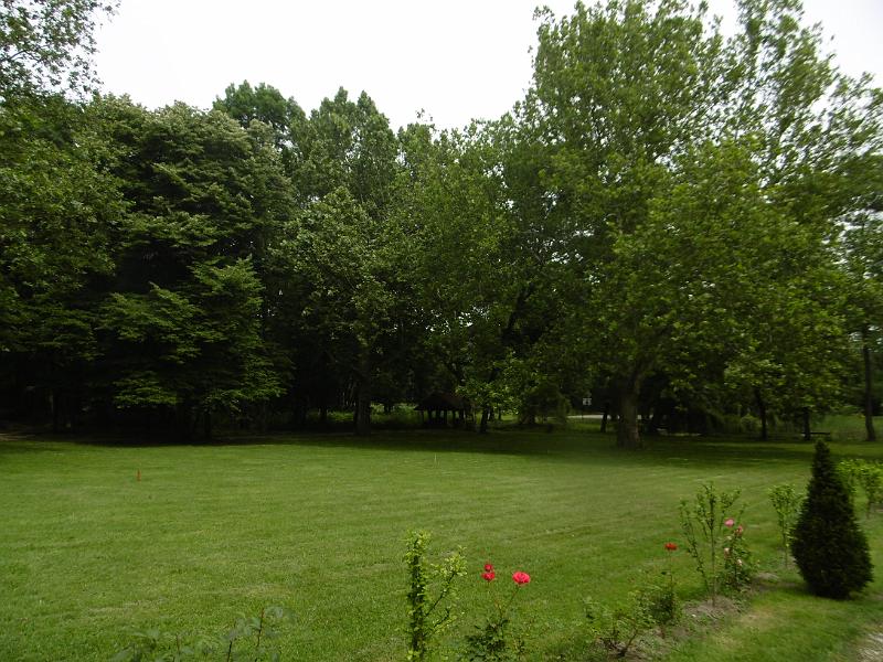 P3350407.JPG