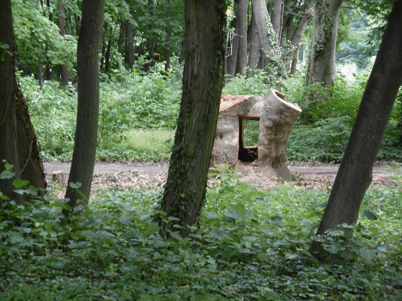 P3350421.JPG