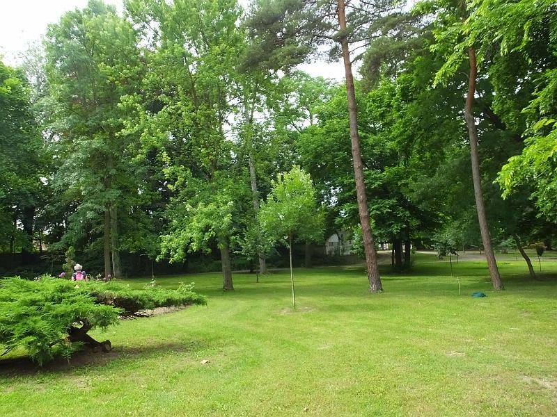 DSCF3332.JPG