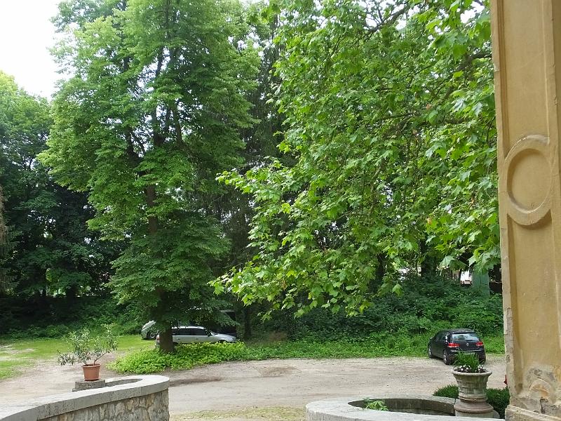 DSCF3333.JPG