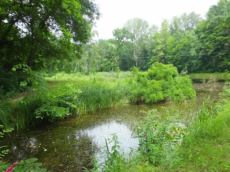 DSCF3359.JPG