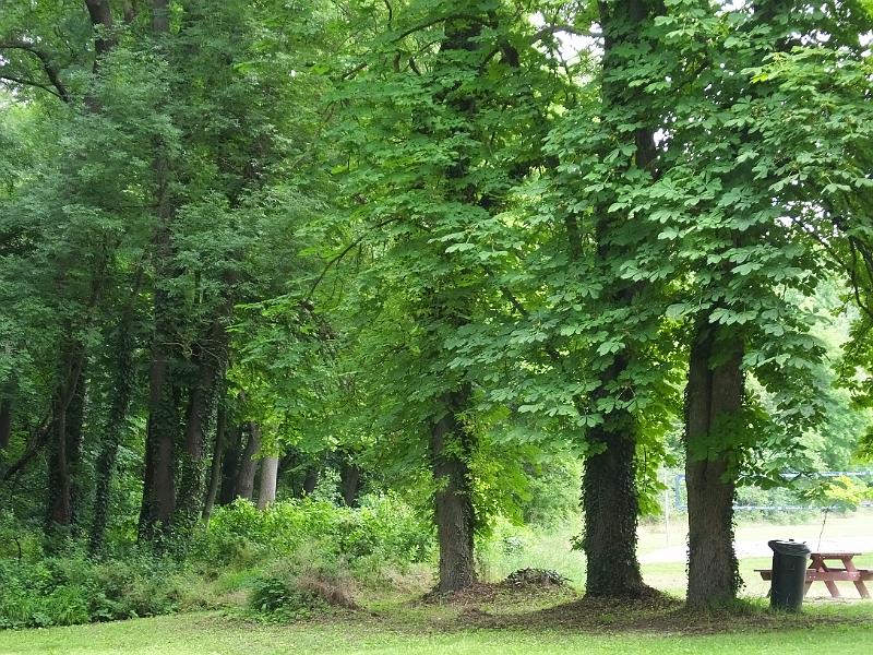 DSCF3363.JPG