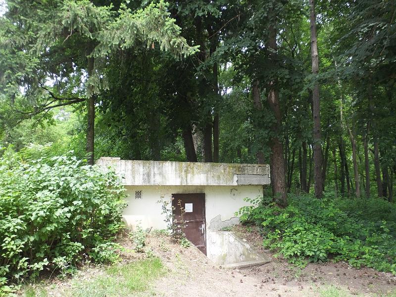 DSCF3369.JPG