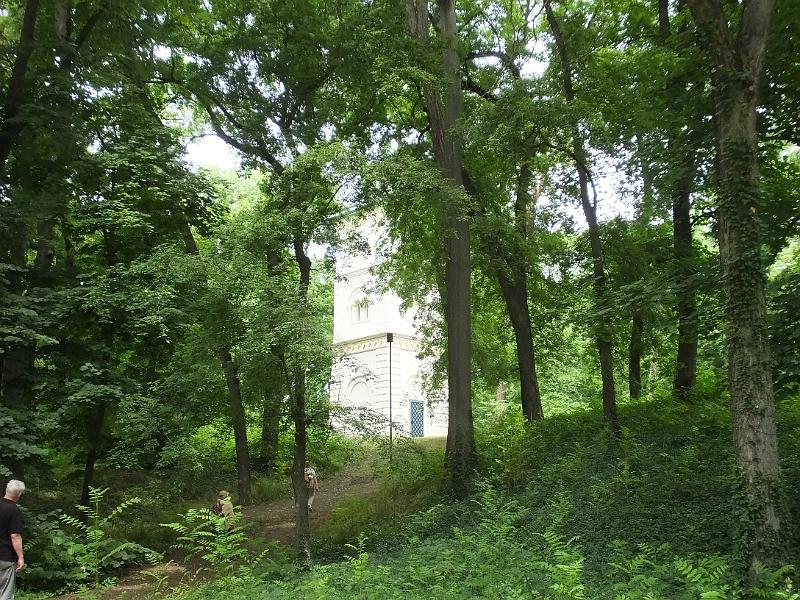 DSCF3370.JPG