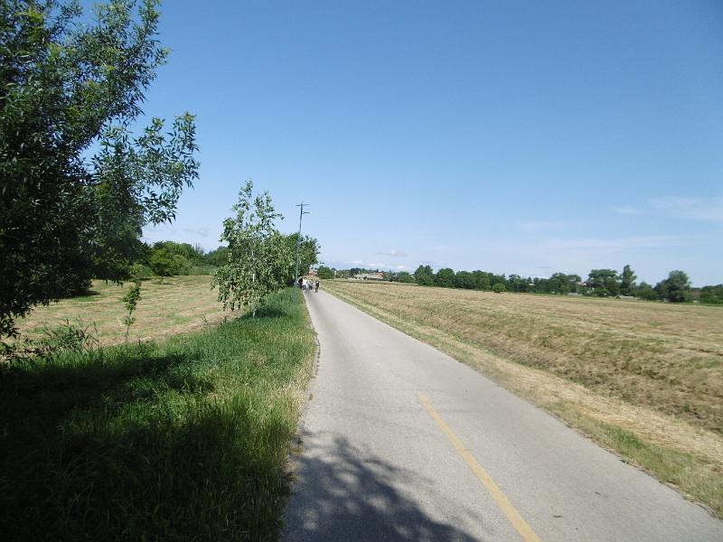 P3350433.JPG