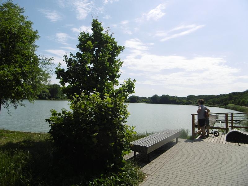 P3350438.JPG