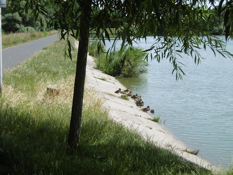 P3350439.JPG