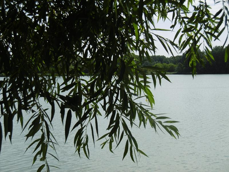 P3350440.JPG
