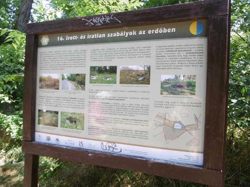 P3350442.JPG