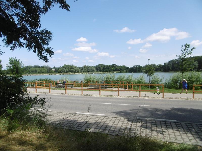 P3350444.JPG