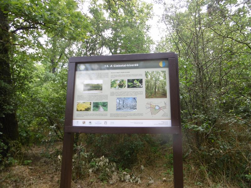 P3350460.JPG