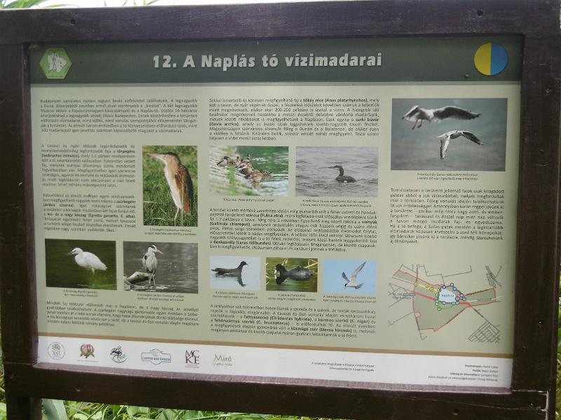 P3350461.JPG