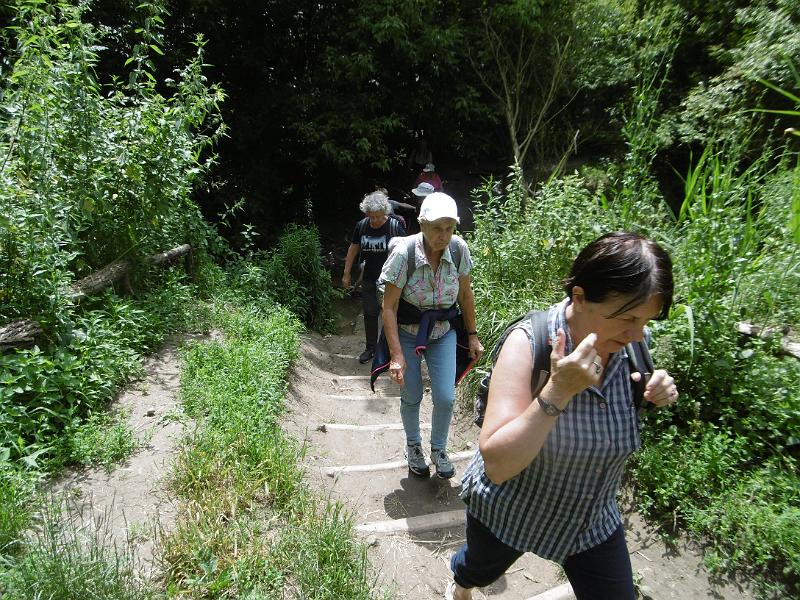 P3350467.JPG