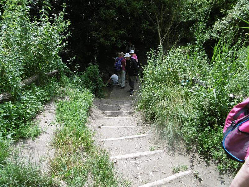 P3350468.JPG