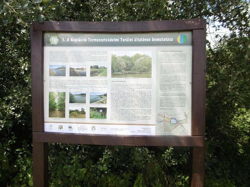 P3350471.JPG