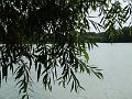 P3350440