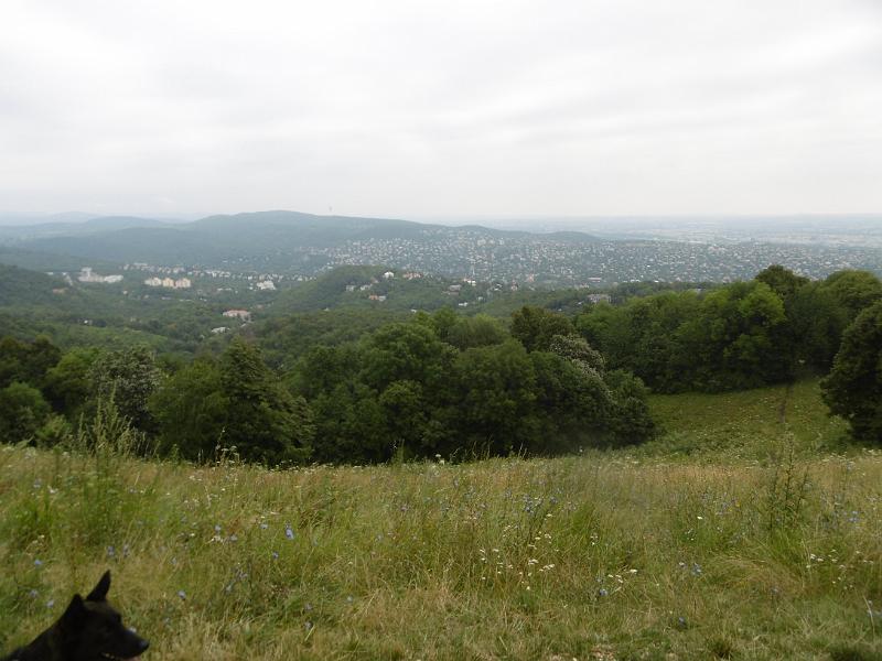 P1080554.JPG