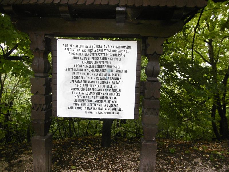 P1080557.JPG