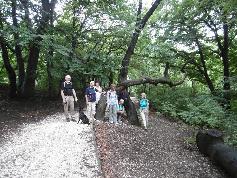 P1080558.JPG