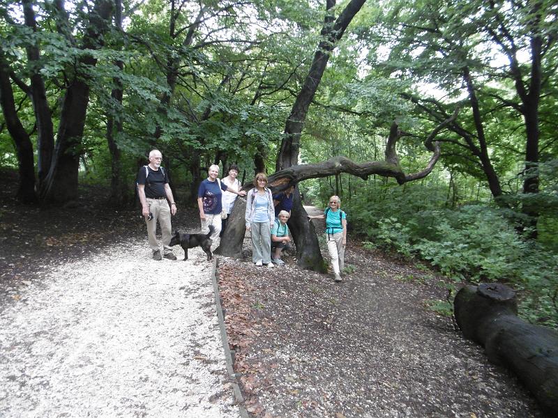 P1080559.JPG