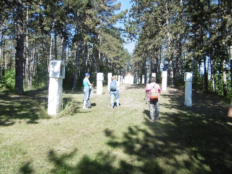P1080587.JPG