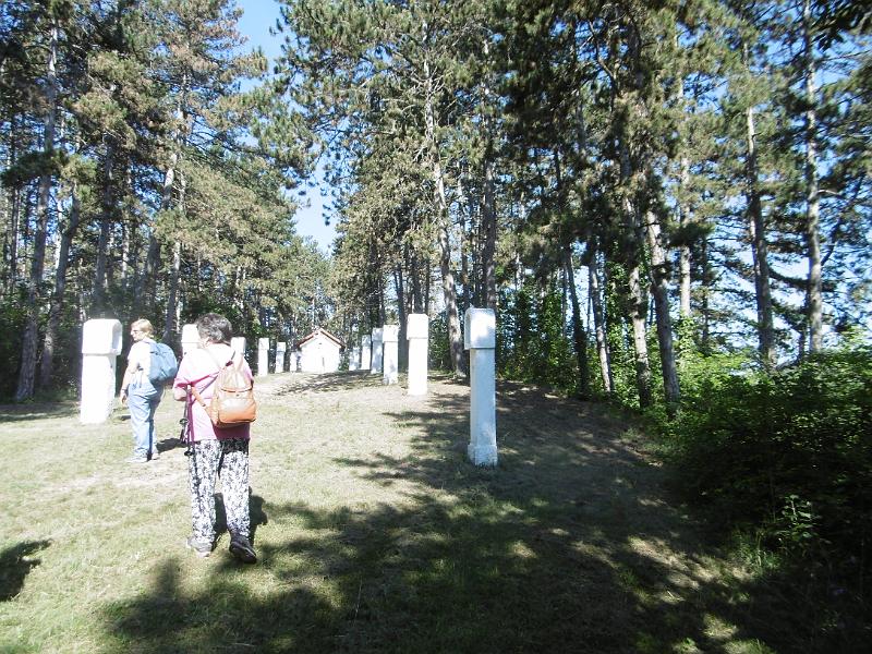 P1080588.JPG