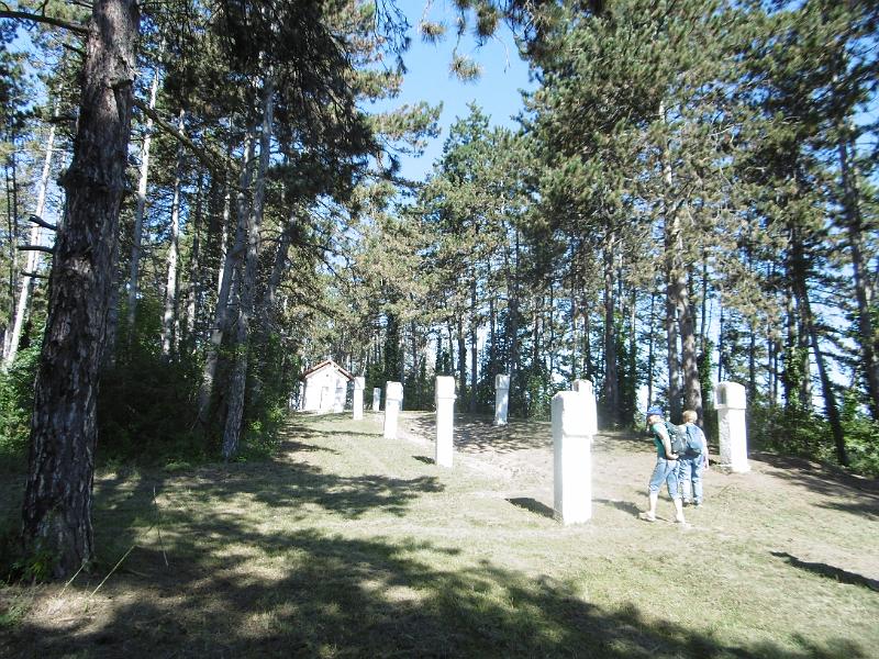 P1080589.JPG