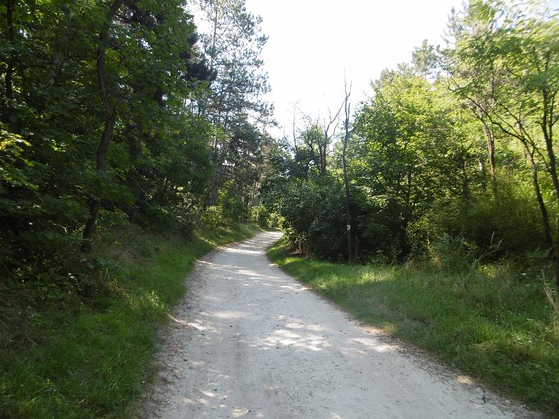 P1080593.JPG