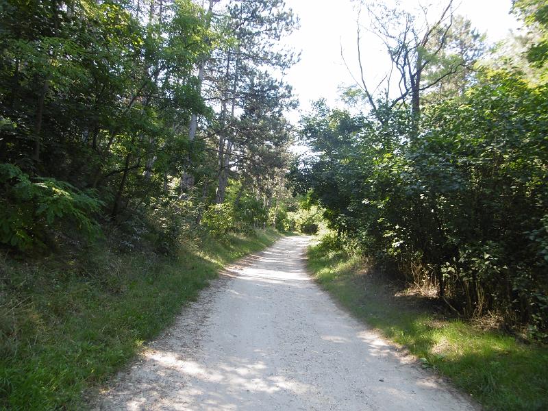 P1080594.JPG