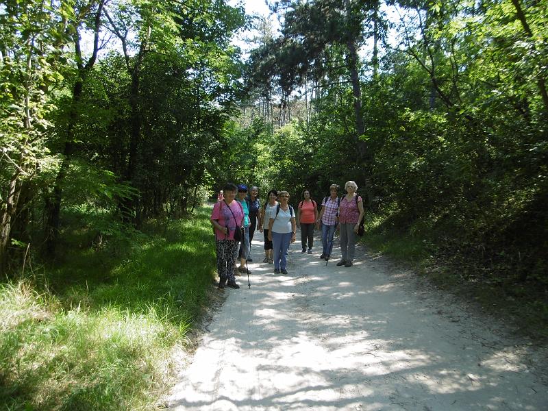 P1080595.JPG