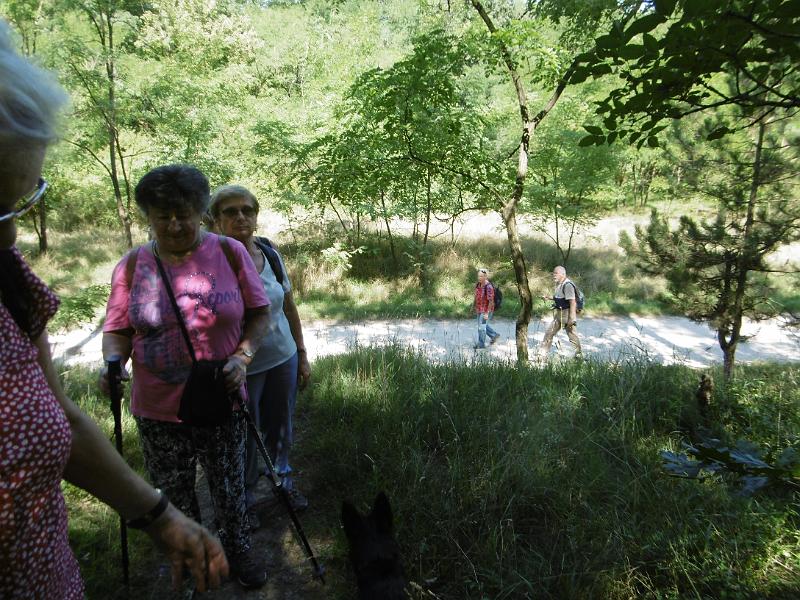 P1080596.JPG